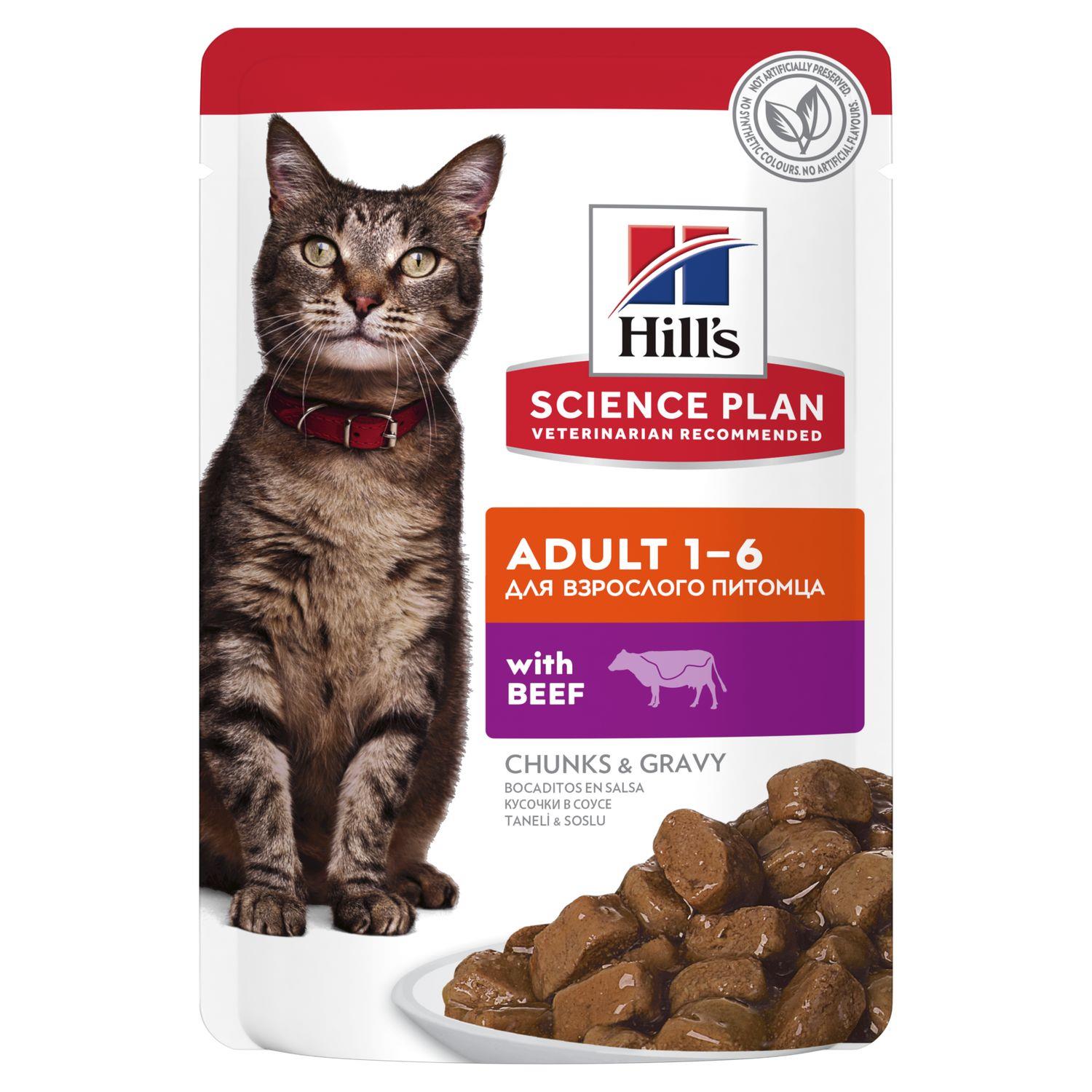 Hill's Biftekli Yetişkin Kedi Konservesi 85 Gr (12 Adet)