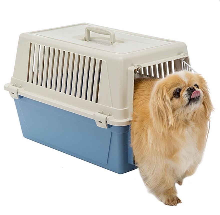 Ferplast Atlas 30 Kedi Ve Köpek Taşıma Çantası Mavi 60x40x38h Cm