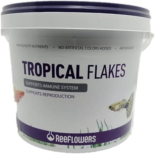 ReeFlowers Tropical Flakes Balık Yemi 8 Lt
