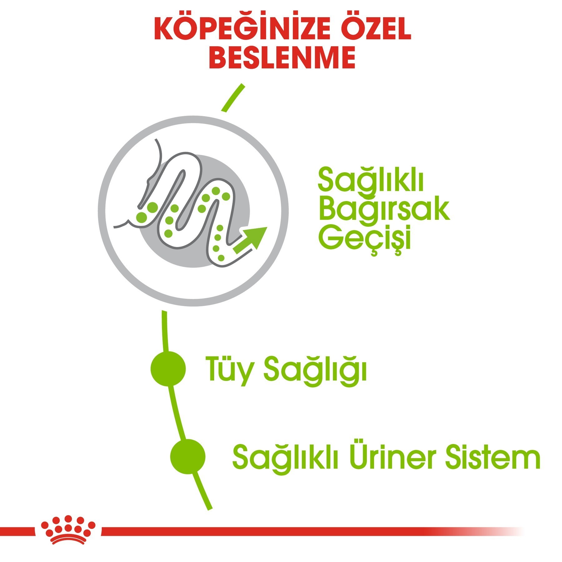 Royal Canin X-S Yetişkin Köpek Maması 1.5 Kg