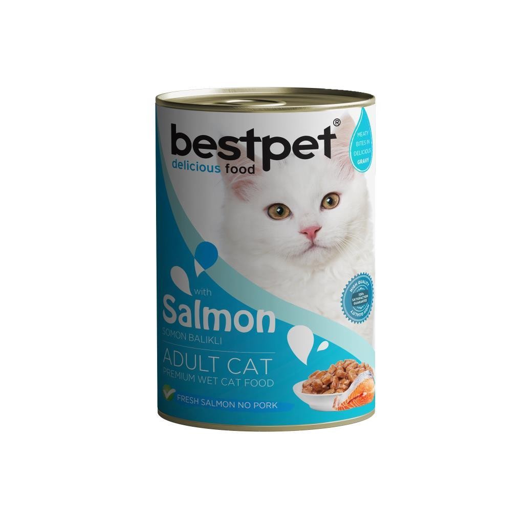 Bestpet Somonlu Yetişkin Kedi Konservesi 400 Gr