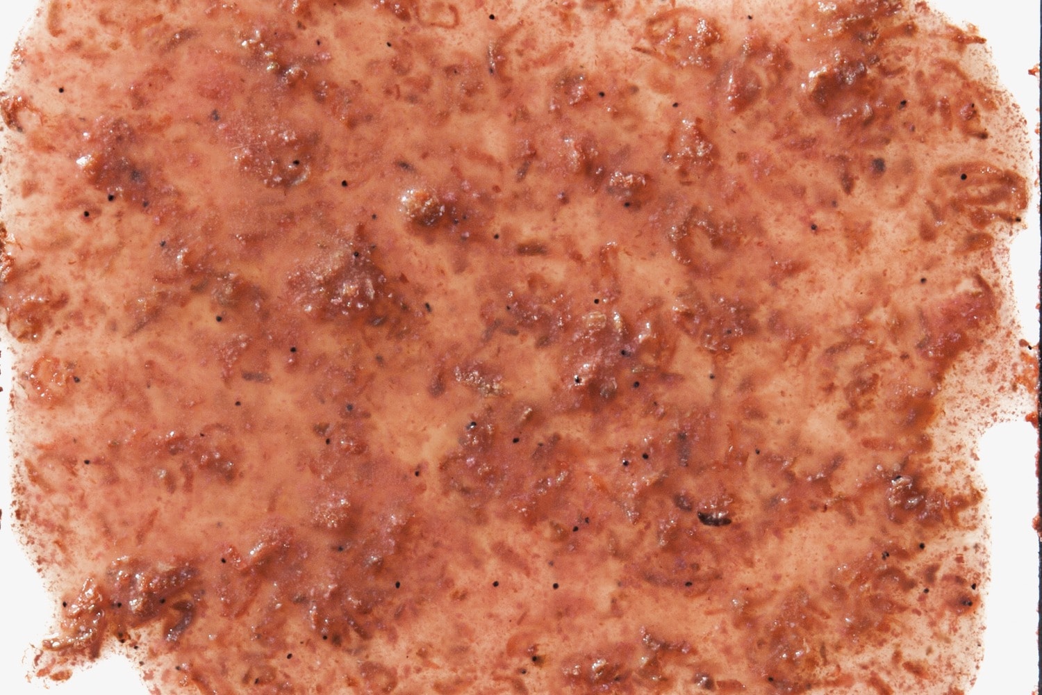 Tetra Fresh Delica Krill Karides 48 Gr