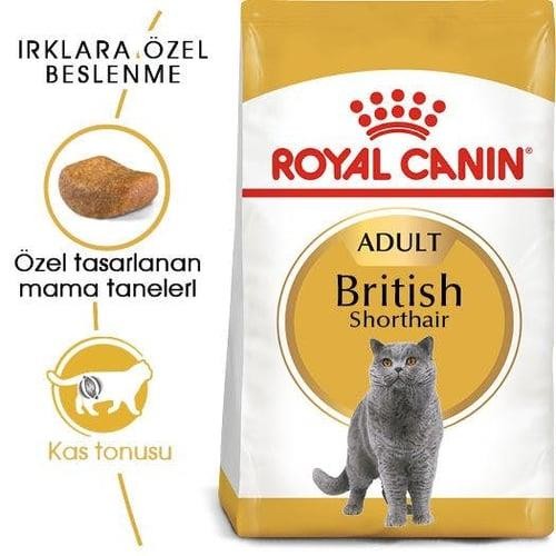 Royal Canin British Shorthair Kedi Maması 10 Kg
