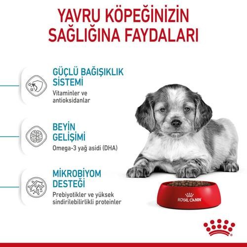 Royal Canin Medium Puppy Orta Irk Yavru Köpek Maması 15 Kg