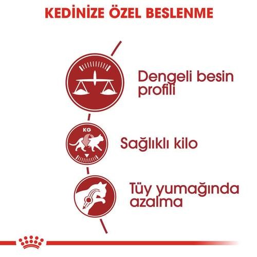 Royal Canin Fhn Fit 32 Yetişkin Kedi Maması 10 Kg