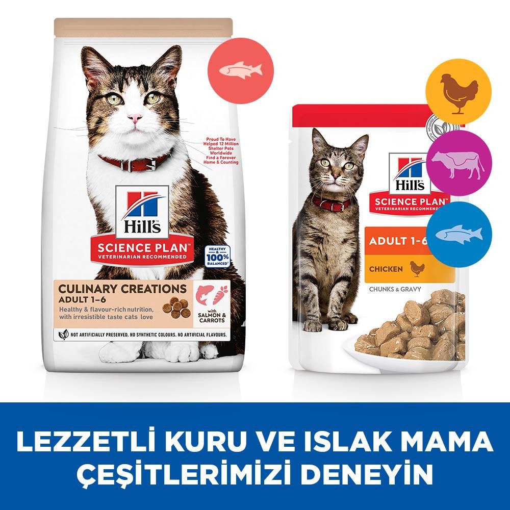 Hill's Culinary Creations Somonlu Havuçlu Yetişkin Kedi Maması 1.5 Kg