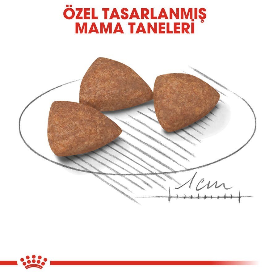 Royal Canin Shn Mini Indoor Yetişkin Köpek Maması 1.5 Kg