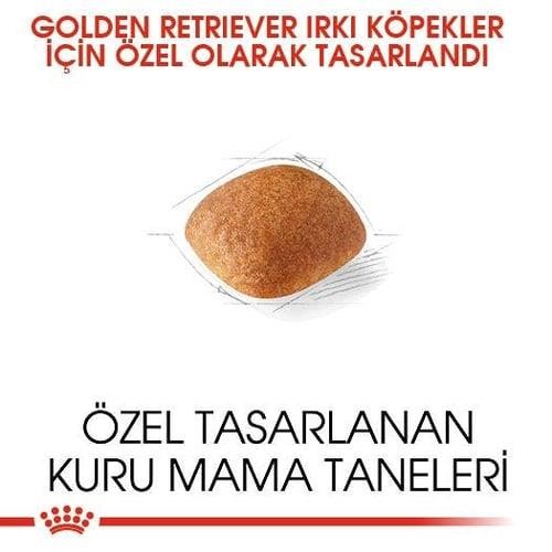 Royal Canin Exigent Yetişkin Kedi Maması 10 Kg
