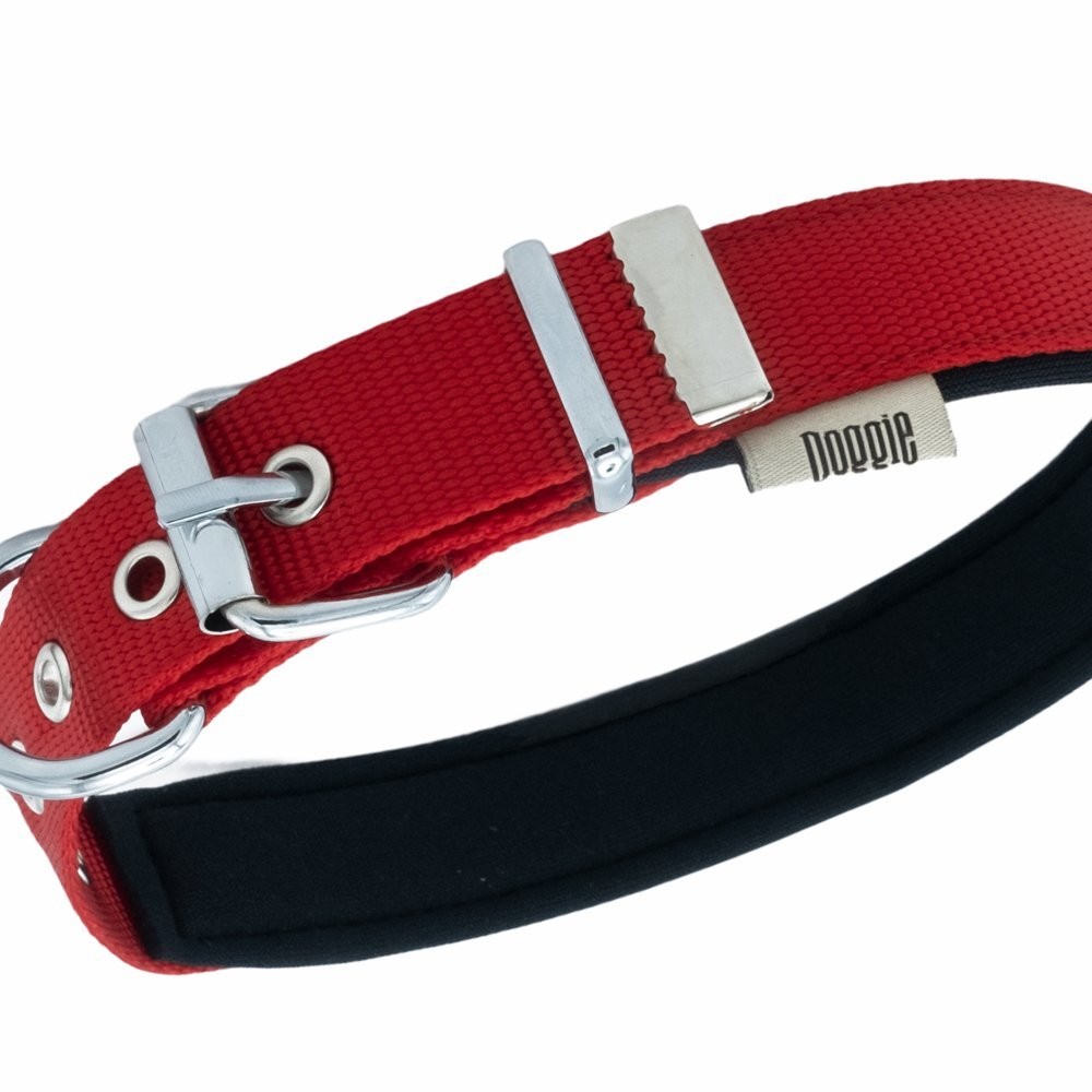 Doggie Comfort Metal Kemik İşlemeli Köpek Boyun Tasması M 2.5x37-45 Cm Kırmızı