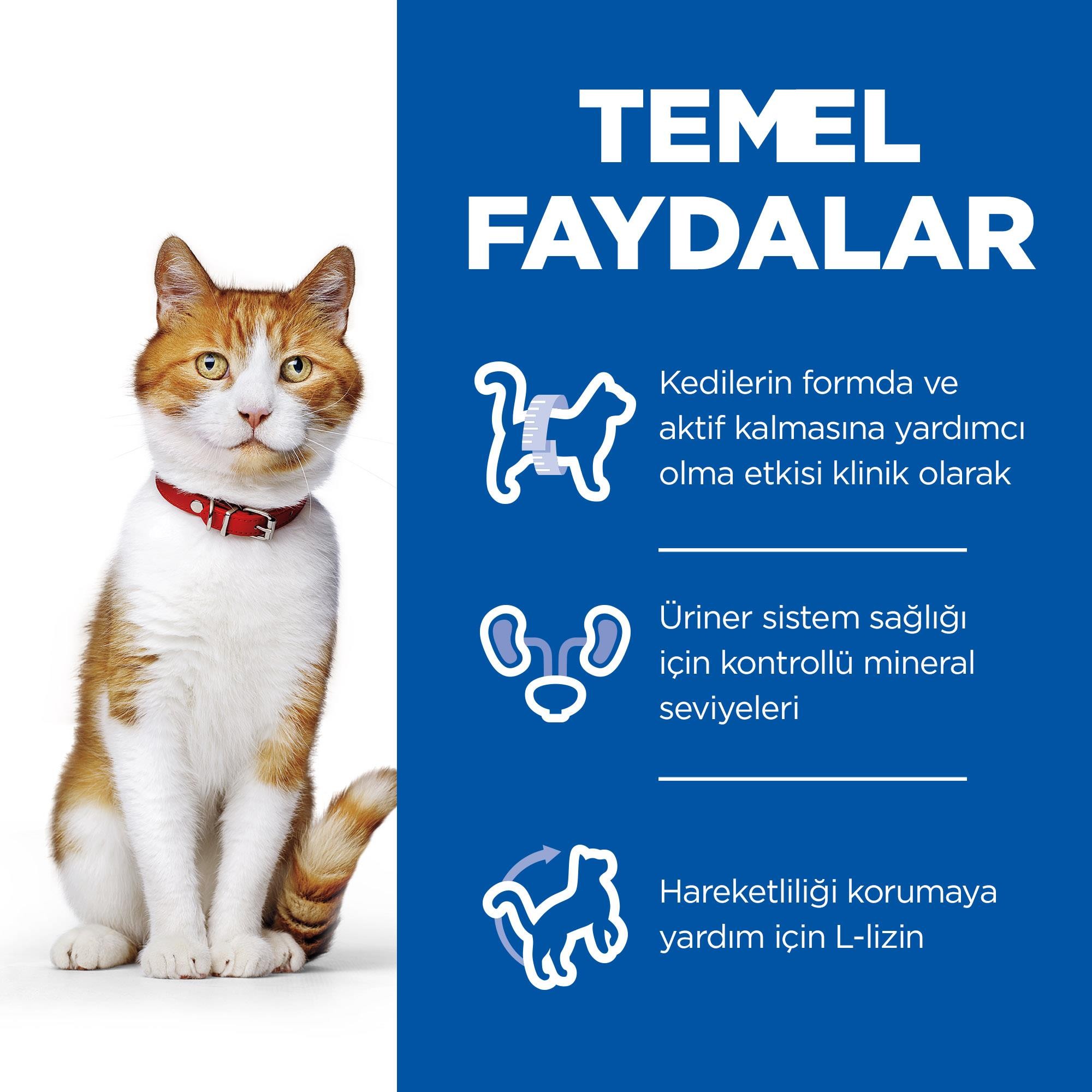 Hill's Sterilised Tavuk Etli Kısırlaştırılmış Kedi Maması 3 Kg