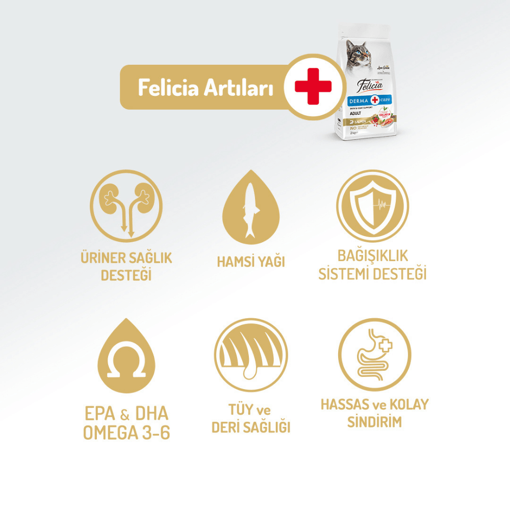 Felicia Derma Care Somon Balıklı Yetişkin Kedi Maması 12 Kg