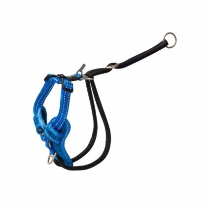 Rogz Utility Stop Pull Tuig M Blauw Göğüs Tasması