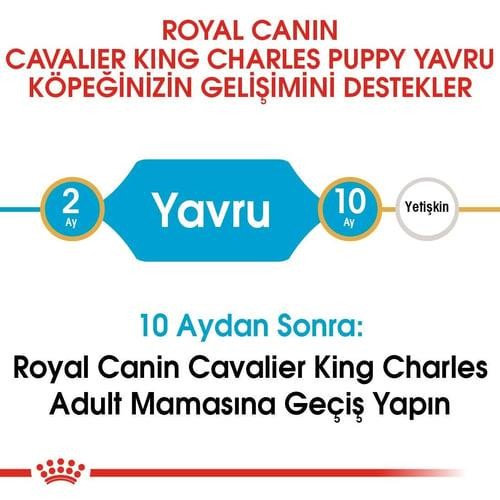 Royal Canin Cavalier King Charles Yavru Köpek Maması 1.5 Kg