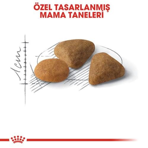 Royal Canin Exigent Yetişkin Kedi Maması 10 Kg