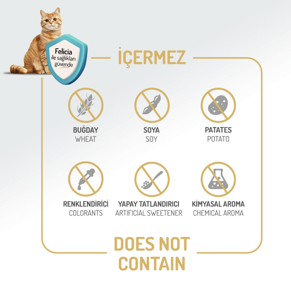Felicia Starter Care Kuzu Etli Yavru Kedi Maması 12 Kg