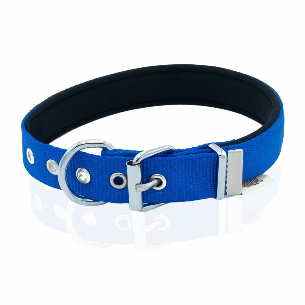 Doggie Comfort Yumuşak Dokuma Köpek Boyun Tasması L 2.5x42-50 Cm Royal Mavi