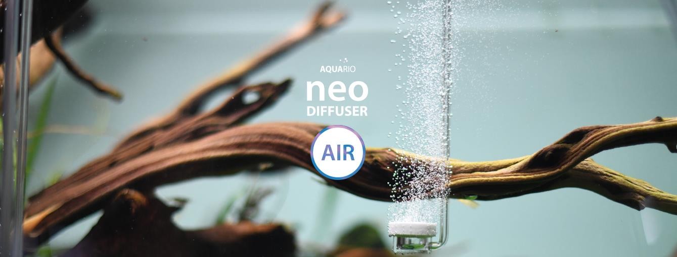 Aquario Neo Air Normal Special L 24 Mm