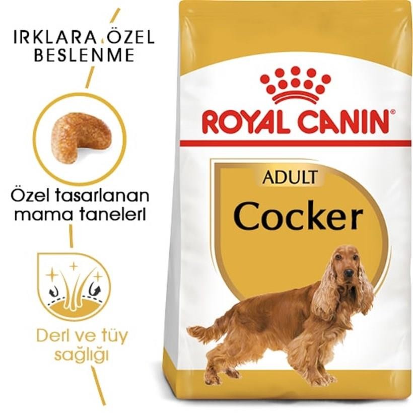 Royal Canin Cocker Yetişkin Köpek Maması 3 Kg