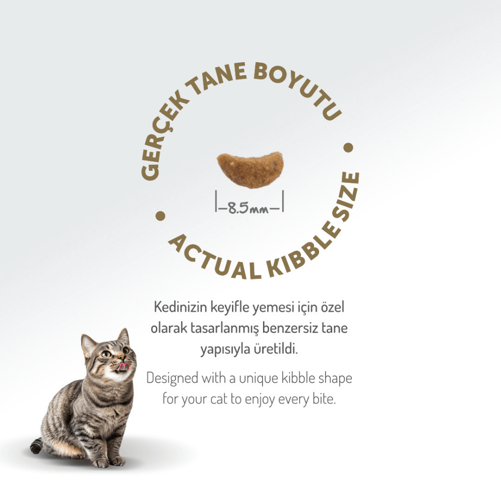 Felicia Sensitive Care Düşük Tahıllı Kuzu Etli Yetişkin Kedi Maması 12 Kg