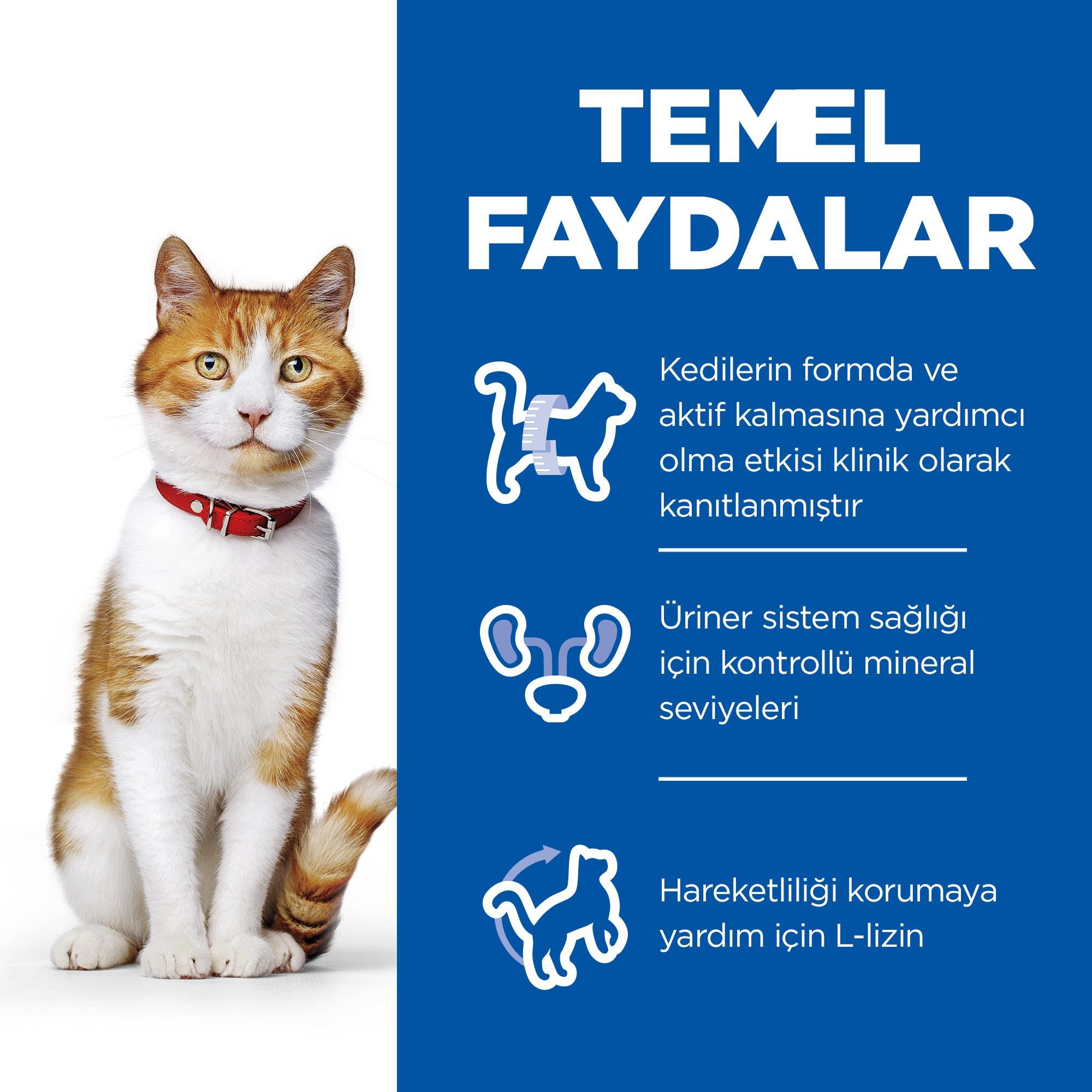 Hill's Sterilised Ton Balıklı Kısırlaştırılmış Kedi Maması 3 Kg