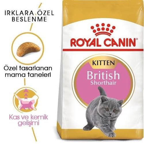 Royal Canin British Shorthair Kitten Yavru Kedi Maması 2 Kg