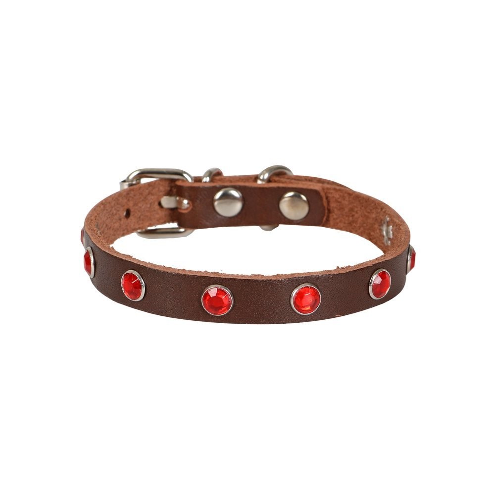 Cattie Taşlı Deri Kedi Boyun Tasması M 1x21-25 Cm Kahverengi