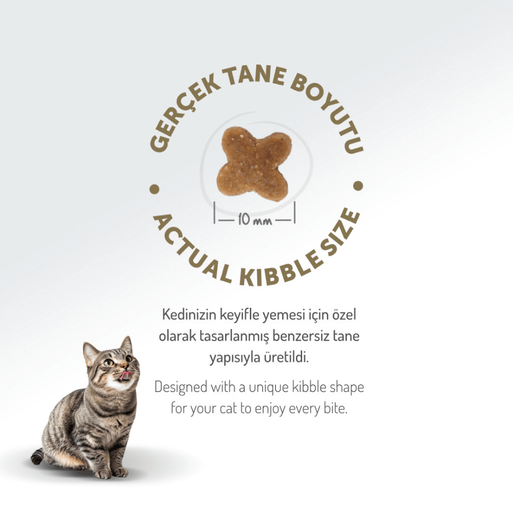 Felicia Starter Care Tavuklu Yavru Kedi Maması 12 Kg