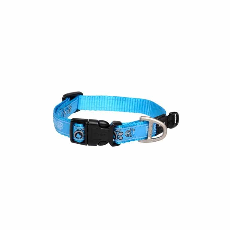 Rogz Fancy Dress Halsband M Turq Paw Boyun Tasması
