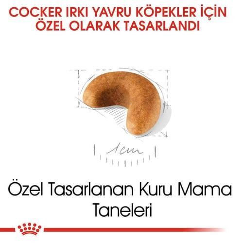 Royal Canin Cocker Junior Yavru Köpek Maması 3 Kg