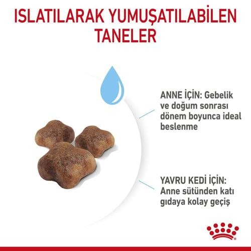 Royal Canin Mother & Babycat Yavru ve Yetişkin Kedi Maması 4 Kg