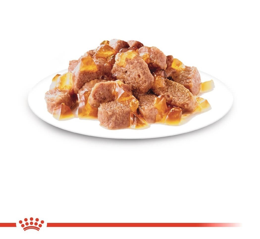Royal Canin İnstinctive Jelly Kedi Konservesi 85 Gr (12 Adet)