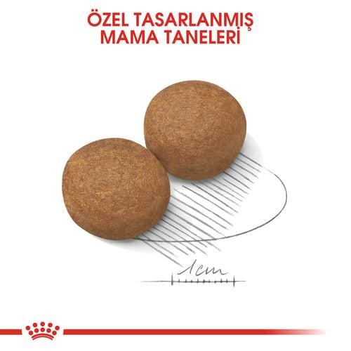 Royal Canin Maxi Adult Yetişkin Köpek Maması 15 Kg