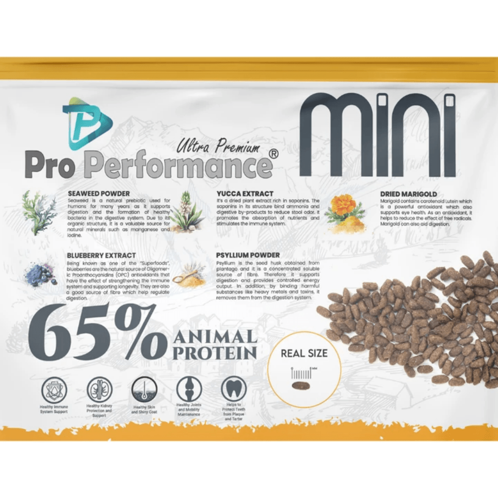 Pro Performance Ultra Premium hipolaerjenik Kuzu Etli ve Yaban Mersinli Küçük Irk Yetişkin Köpek Maması 7 Kg