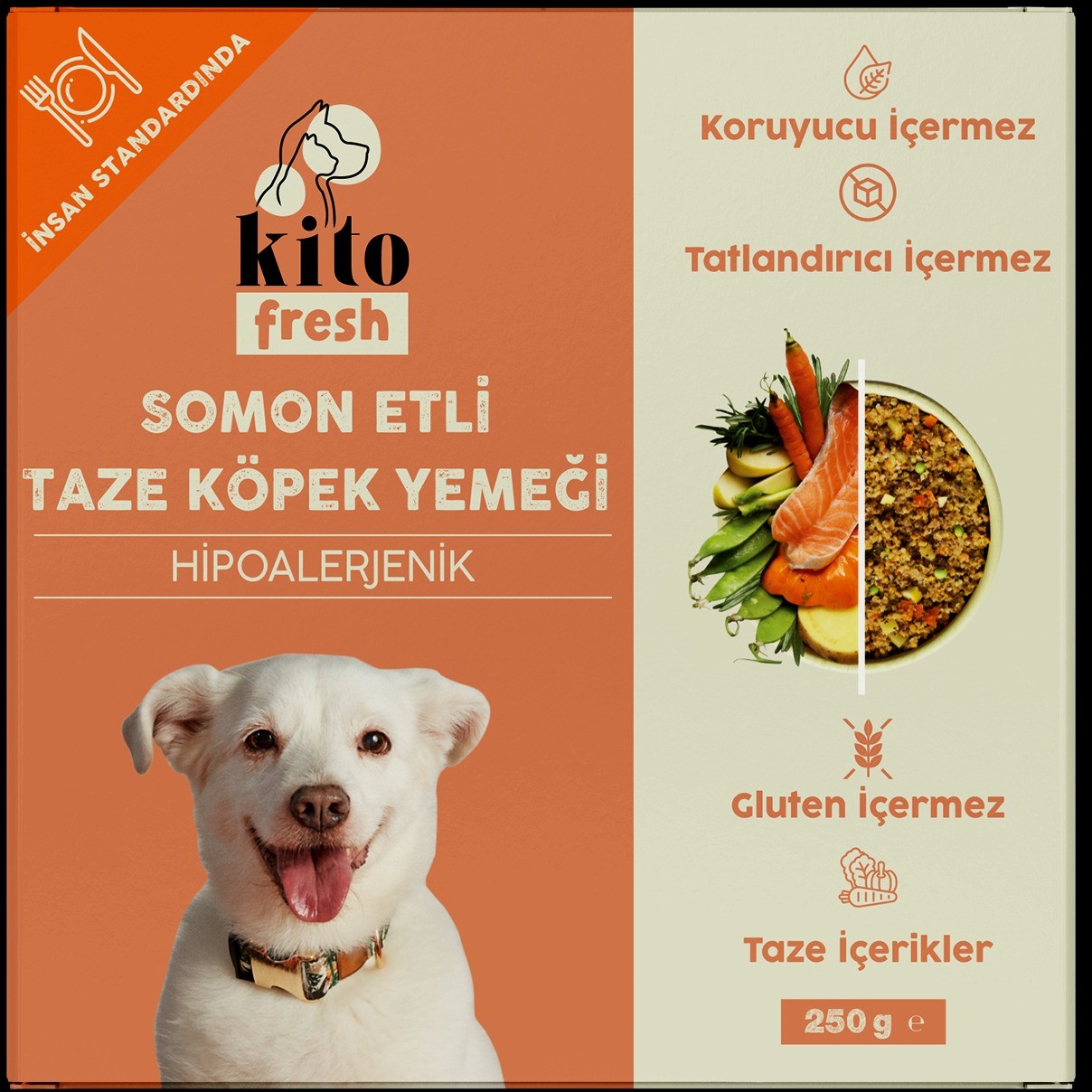 Kito Fresh Somon Etli Köpek Yemeği 250 Gr