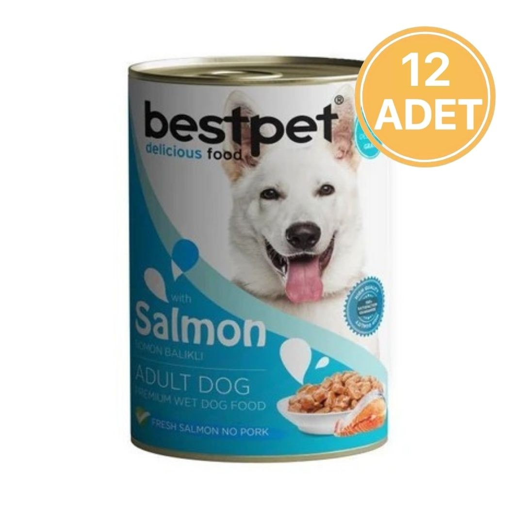 Bestpet Somonlu Konserve Yetişkin Köpek Maması 400 Gr (12 Adet)