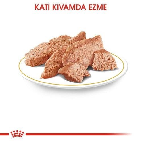 Royal Canin Pouch Chihuahua Irkı Özel Yaş Köpek Maması 85 Gr (12 Adet)
