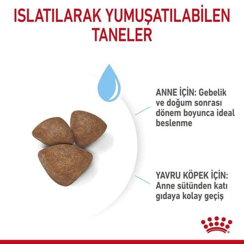 Royal Canin Mini Starter Küçük Irk Yavru Köpek Maması 4 Kg