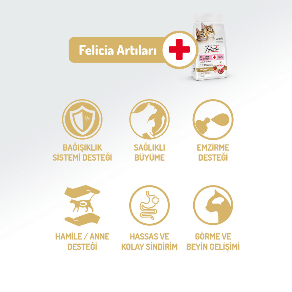 Felicia Starter Care Kuzu Etli Yavru Kedi Maması 12 Kg