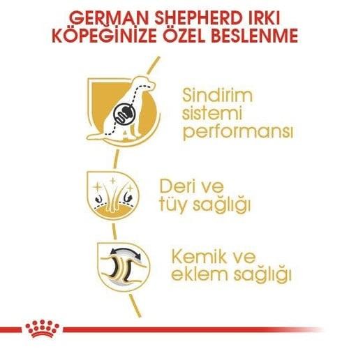 Royal Canin German Shepherd Alman Kurtları İçin Yetişkin Köpek Maması 11 Kg