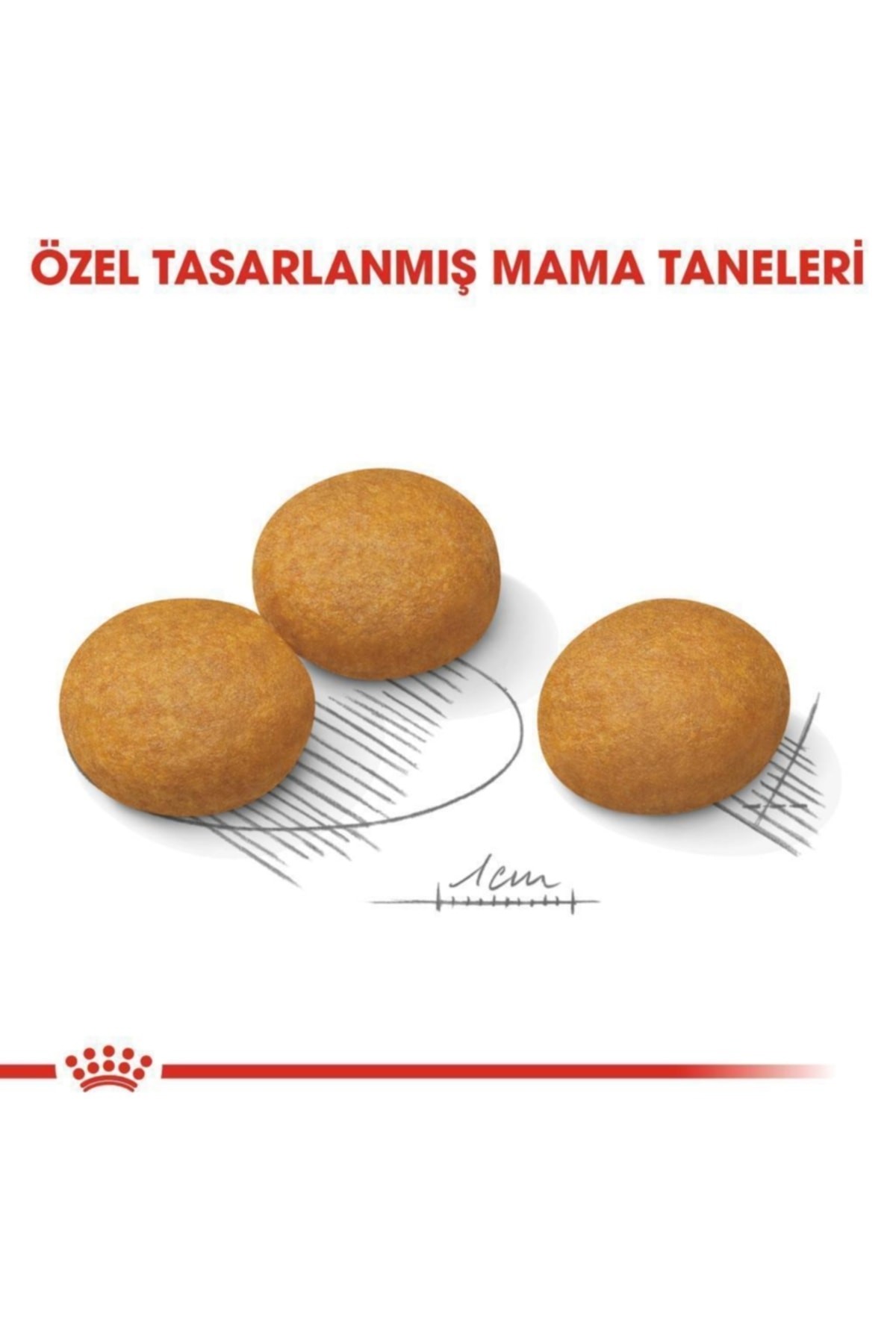 Royal Canin Maxi Dermacomfort Yetişkin Köpek Maması 12 Kg