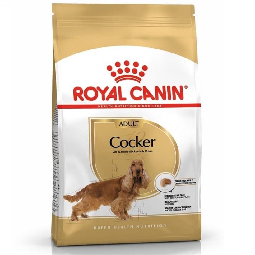 Royal Canin Cocker Yetişkin Köpek Maması 3 Kg