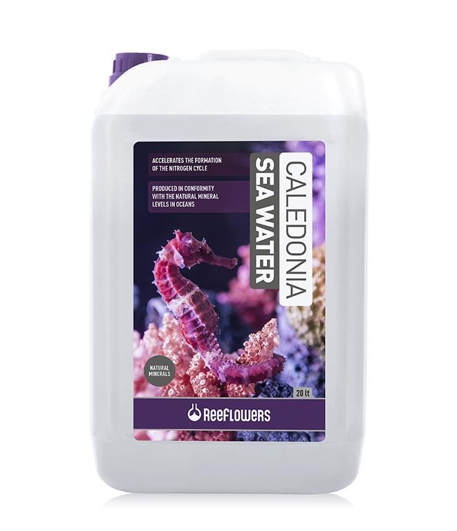 ReeFlowers Caledonia Sea Water 20 Lt