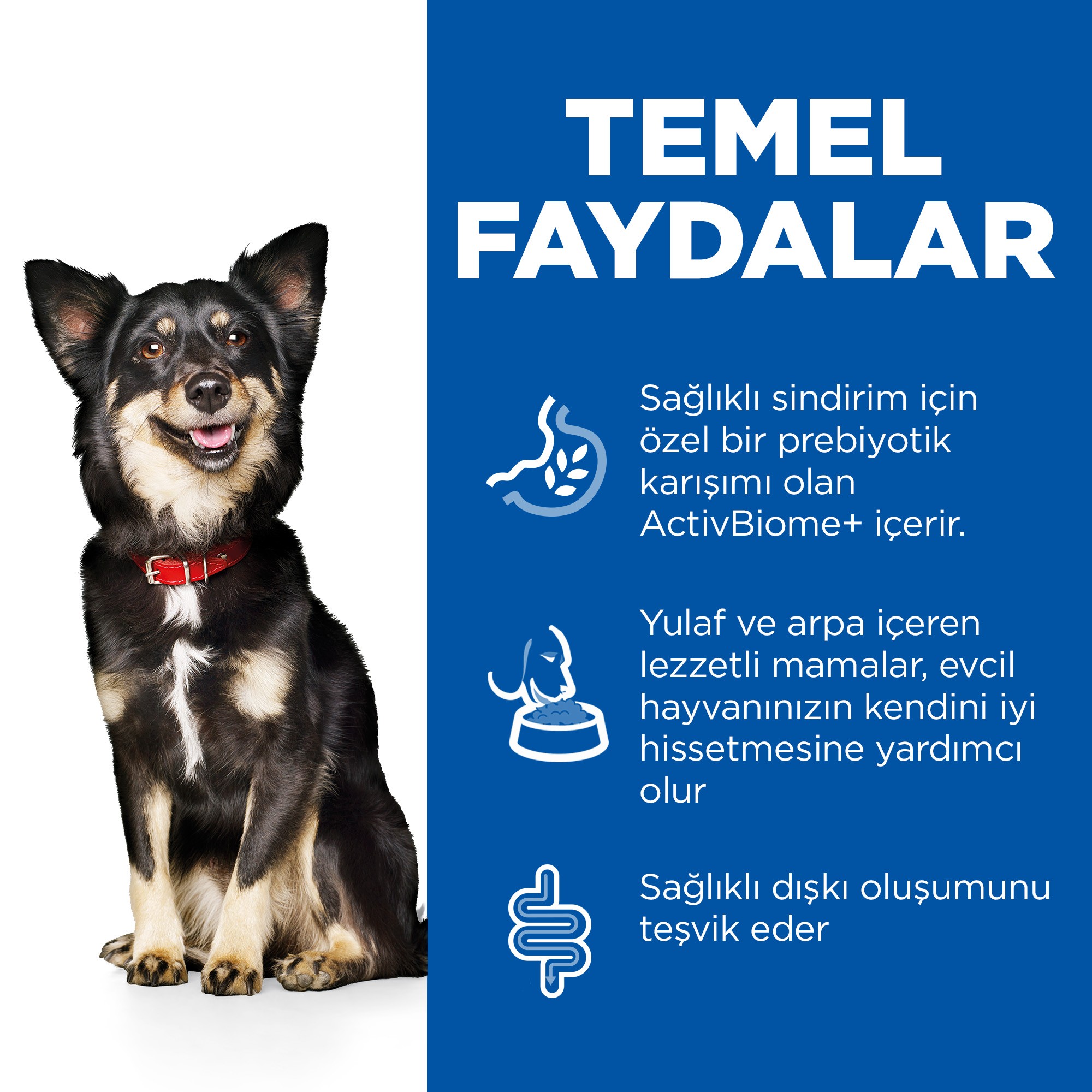 Hill's Perfect Digestion Tavuk Etli ve Pirinçli Küçük Irk Yetişkin Köpek Maması 1.5 Kg