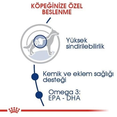 Royal Canin Maxi Adult Yetişkin Köpek Maması 15 Kg
