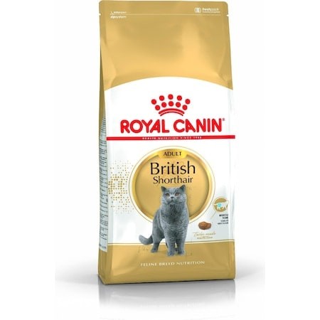 Royal Canin British Shorthair Kedi Maması 10 Kg