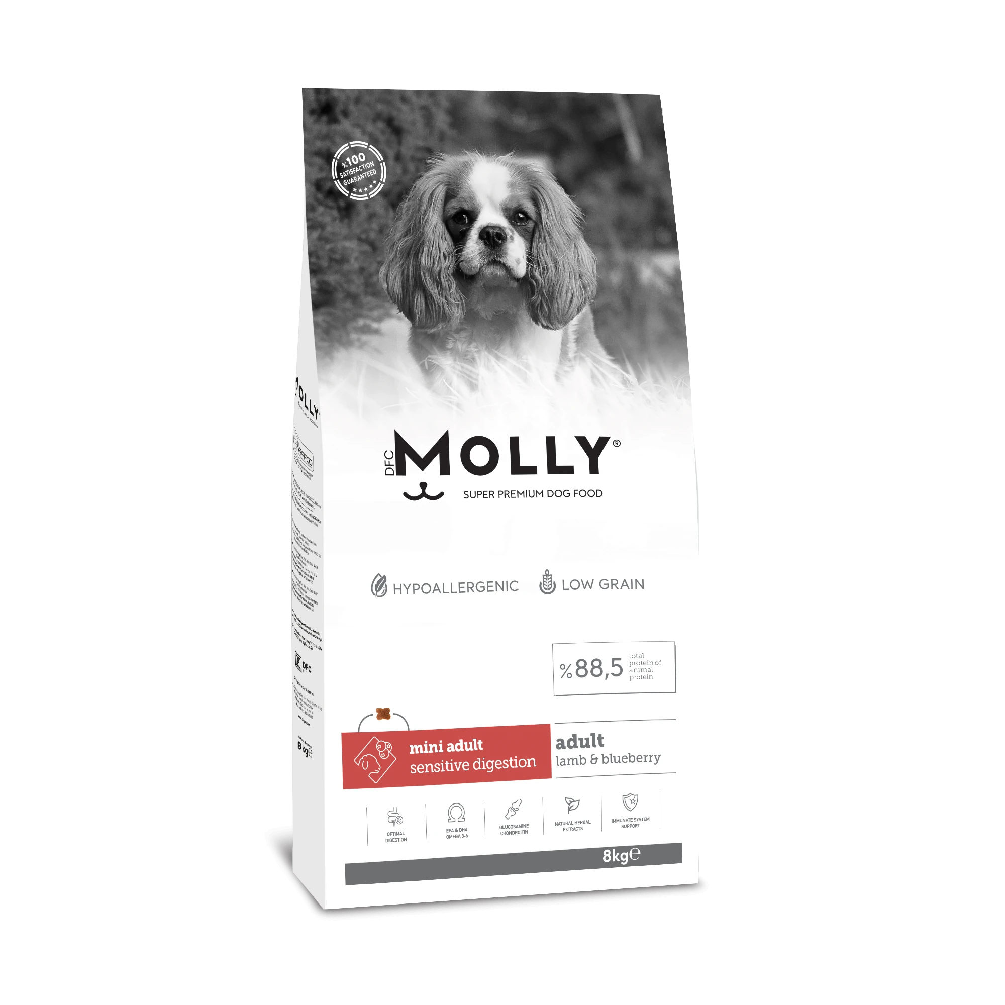 Molly Hipoalerjenik Düşük Tahıllı Kuzu Etli ve Yaban Mersinli Küçük Irk Yetişkin Köpek Maması 8 Kg
