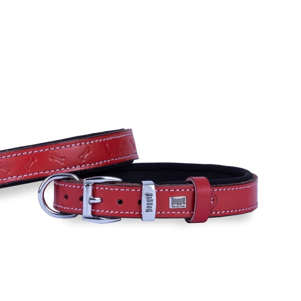 Doggie Deri Kemik Desenli Boyun Tasması M 2x35-40 Cm Kırmızı