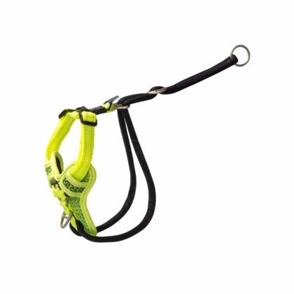 Rogz Utility Stop Pull Tuig M Geel Göğüs Tasması