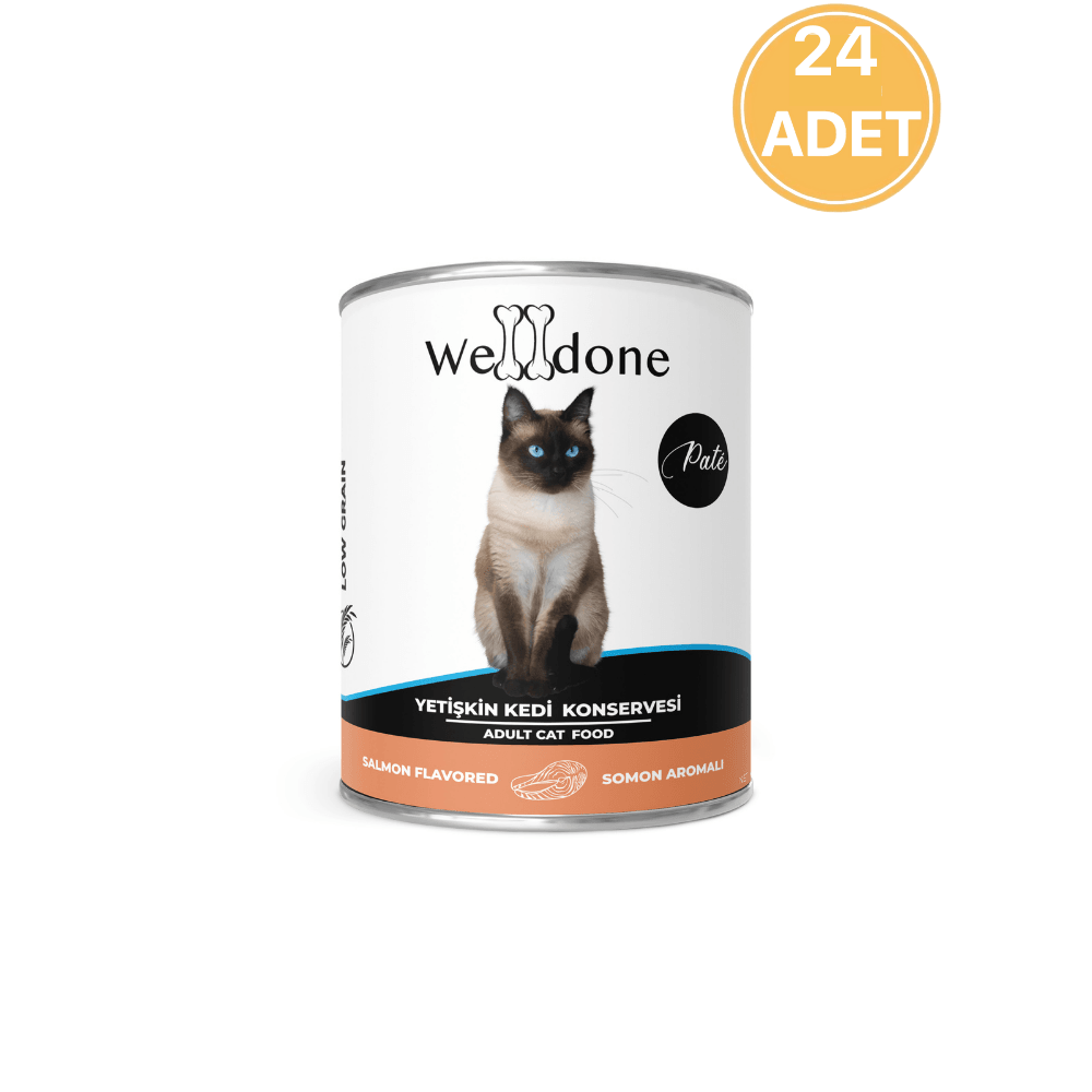 Welldone Somonlu Yetişkin Kedi Konservesi 415 Gr (24 Adet)