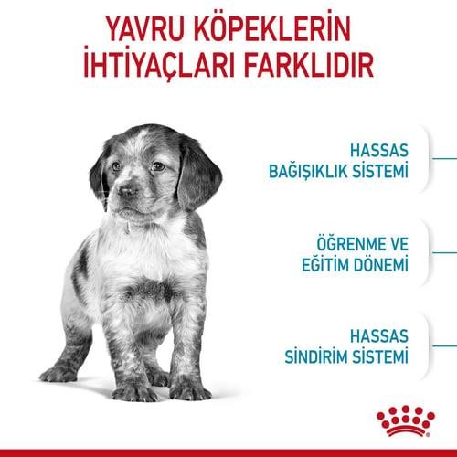 Royal Canin Medium Puppy Orta Irk Yavru Köpek Maması 15 Kg